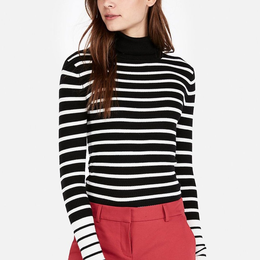 Express Striped Long Sleeve Turtleneck Sweater